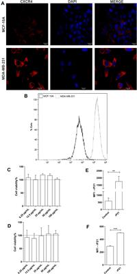 The Recombinant Protein Based on Trypanosoma cruzi P21 Interacts With CXCR4 Receptor and Abrogates the Invasive Phenotype of Human Breast Cancer Cells